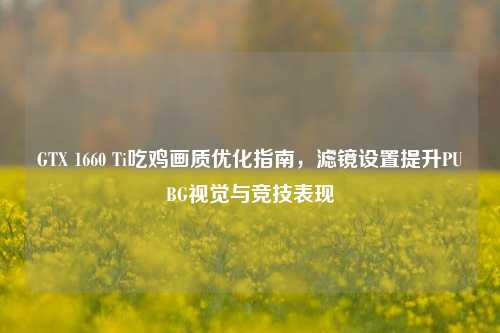GTX 1660 Ti吃鸡画质优化指南,滤镜设置提升PUBG视觉与竞技表现