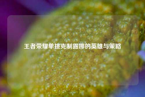 王者荣耀单挑克制露娜的英雄与策略