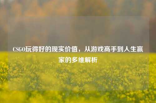 CSGO玩得好的现实价值,从游戏高手到人生赢家的多维解析