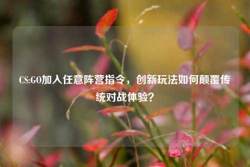 CS:GO加入任意阵营指令，创新玩法如何颠覆传统对战体验？