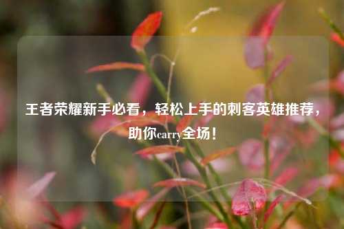 王者荣耀新手必看，轻松上手的刺客英雄推荐，助你carry全场！