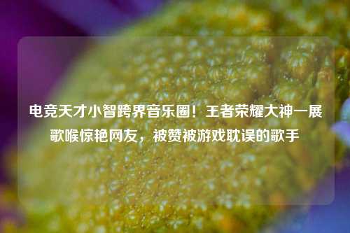 电竞天才小智跨界音乐圈！王者荣耀大神一展歌喉惊艳网友，被赞被游戏耽误的歌手