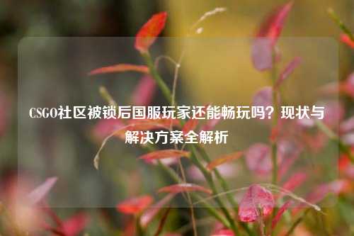 CSGO社区被锁后国服玩家还能畅玩吗？现状与解决方案全解析