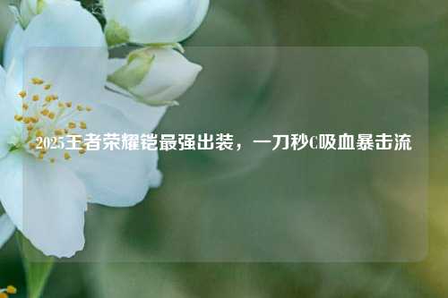 2025王者荣耀铠最强出装,一刀秒C吸血暴击流