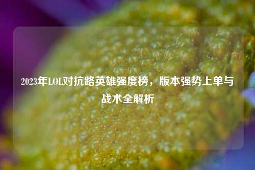 2023年LOL对抗路英雄强度榜，版本强势上单与战术全解析