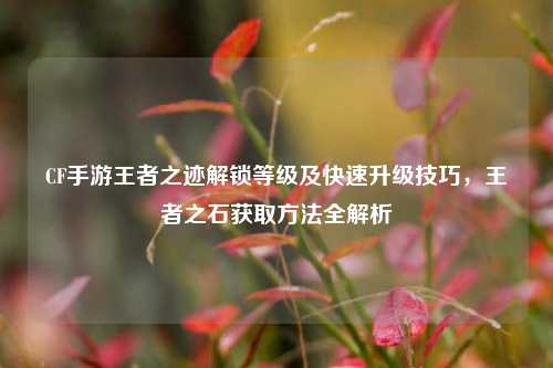 CF手游王者之迹解锁等级及快速升级技巧,王者之石获取方法全解析