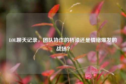 LOL聊天记录，团队协作的桥梁还是情绪爆发的战场？