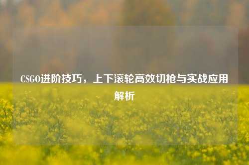CSGO进阶技巧，上下滚轮高效切枪与实战应用解析