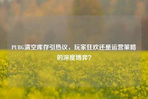 PUBG清空库存引热议,玩家狂欢还是运营策略的深度博弈?