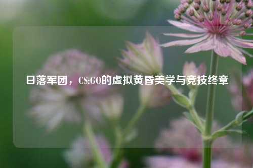 日落军团,CS:GO的虚拟黄昏美学与竞技终章