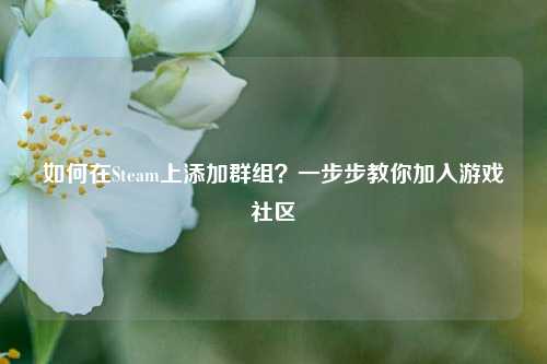 如何在Steam上添加群组?一步步教你加入游戏社区