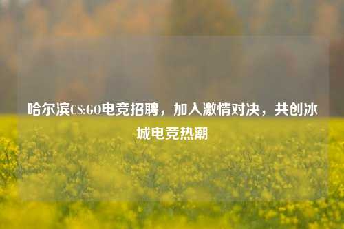 哈尔滨CS:GO电竞招聘，加入激情对决，共创冰城电竞热潮