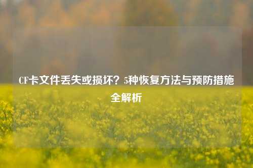 CF卡文件丢失或损坏？5种恢复方法与预防措施全解析