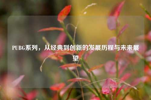 PUBG系列，从经典到创新的发展历程与未来展望