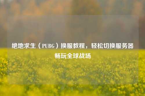 绝地求生(PUBG)换服教程,轻松切换服务器畅玩全球战场