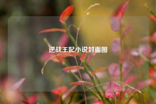 逆战王妃小说封面图