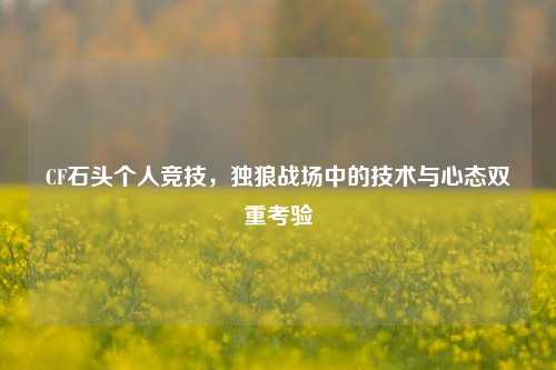 CF石头个人竞技,独狼战场中的技术与心态双重考验