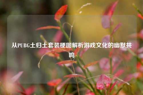 从PUBG土归土套装梗图解析游戏文化的幽默共鸣