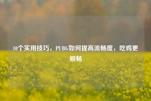 10个实用技巧,PUBG如何提高流畅度,吃鸡更顺畅