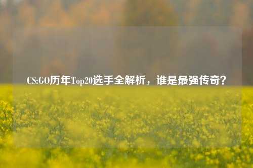 CS:GO历年Top20选手全解析，谁是最强传奇？