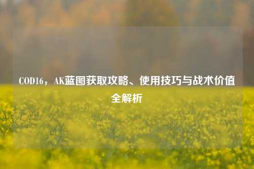 COD16，AK蓝图获取攻略、使用技巧与战术价值全解析
