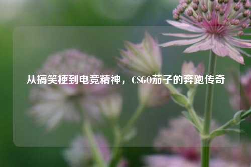 从搞笑梗到电竞精神,CSGO茄子的奔跑传奇