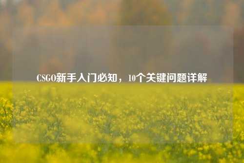CSGO新手入门必知,10个关键问题详解