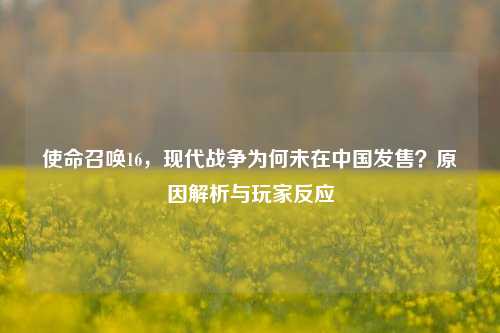 使命召唤16,现代战争为何未在中国发售?原因解析与玩家反应
