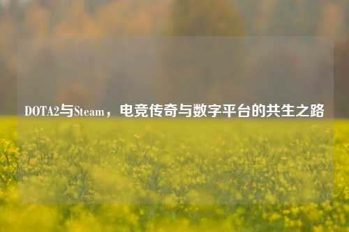 DOTA2与Steam,电竞传奇与数字平台的共生之路