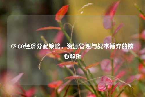 CS:GO经济分配策略，资源管理与战术博弈的核心解析