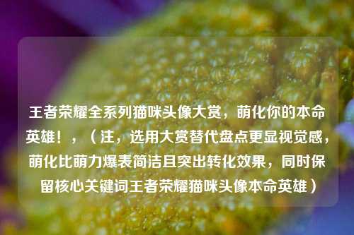 王者荣耀全系列猫咪头像大赏,萌化你的本命英雄!,(注,选用大赏替代盘点更显视觉感,萌化比萌力爆表简洁且突出转化效果,同时保留核心关键词王者荣耀猫咪头像本命英雄)
