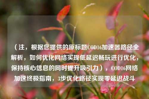 (注,根据您提供的原标题COD16加速器路径全解析,如何优化网络实现低延迟畅玩进行优化,保持核心信息的同时提升吸引力),COD16网络加速终极指南,3步优化路径实现零延迟战斗