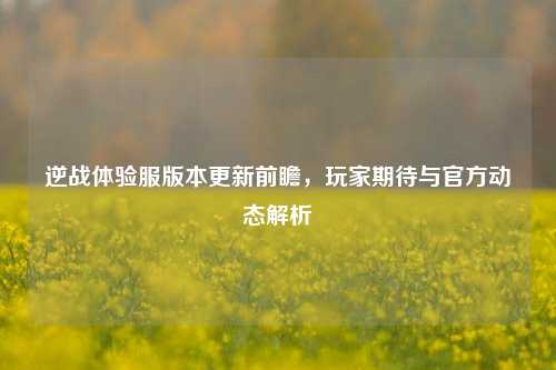 逆战体验服版本更新前瞻，玩家期待与官方动态解析