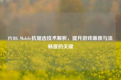 PUBG Mobile抗锯齿技术解析,提升游戏画质与流畅度的关键