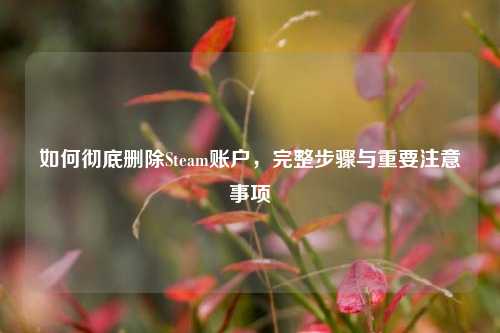 如何彻底删除Steam账户,完整步骤与重要注意事项