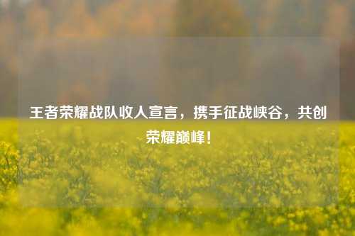 王者荣耀战队收人宣言,携手征战峡谷,共创荣耀巅峰!