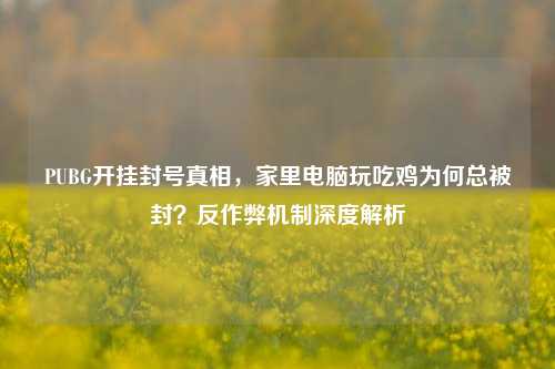 PUBG开挂封号真相,家里电脑玩吃鸡为何总被封?反作弊机制深度解析