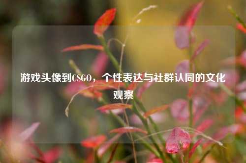 游戏头像到CSGO,个性表达与社群认同的文化观察