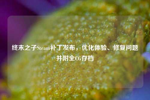 终末之子Steam补丁发布,优化体验、修复问题并附全CG存档