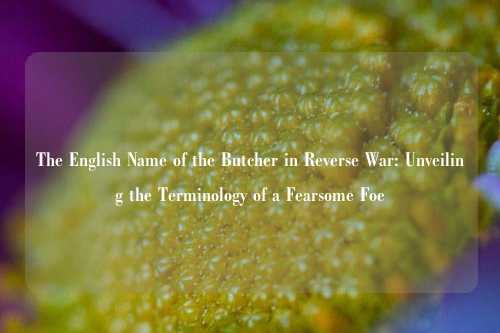 The English Name of the Butcher in Reverse War: Unveiling the Terminology of a Fearsome Foe