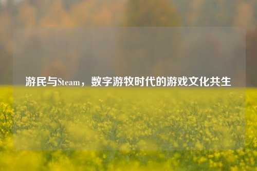游民与Steam,数字游牧时代的游戏文化共生