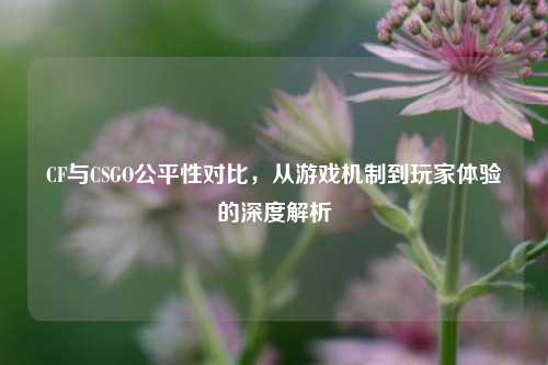 CF与CSGO公平性对比，从游戏机制到玩家体验的深度解析