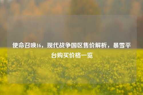 使命召唤16，现代战争国区售价解析，暴雪平台购买价格一览