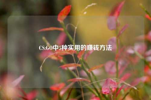 CS:GO中5种实用的赚钱方法