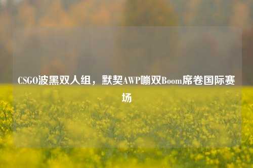 CSGO波黑双人组,默契AWP嘣双Boom席卷国际赛场