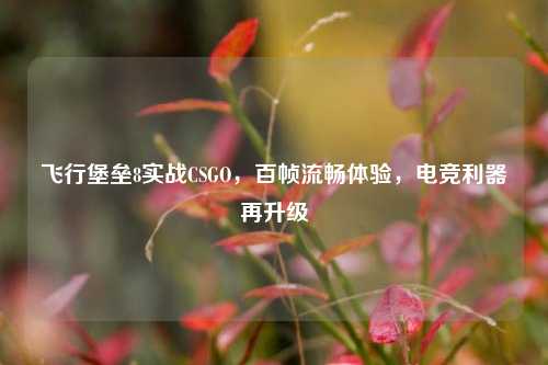 飞行堡垒8实战CSGO,百帧流畅体验,电竞利器再升级