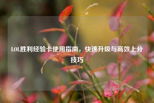 LOL胜利经验卡使用指南，快速升级与高效上分技巧