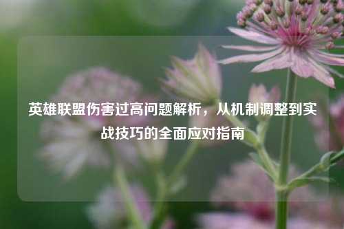 英雄联盟伤害过高问题解析，从机制调整到实战技巧的全面应对指南