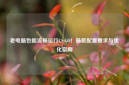 老电脑也能流畅运行CS:GO!最低配置要求与优化指南
