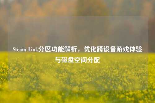 Steam Link分区功能解析,优化跨设备游戏体验与磁盘空间分配